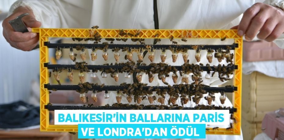 Balıkesir’in ballarına Paris ve Londra’dan ödül