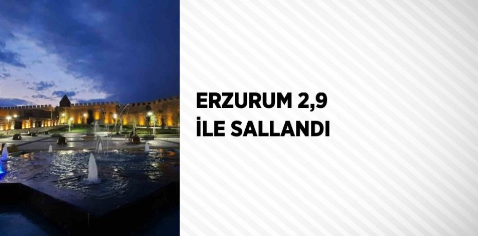 ERZURUM 2,9 İLE SALLANDI