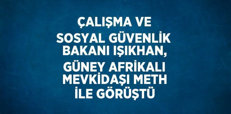 ÇALIŞMA VE SOSYAL GÜVENLİK BAKANI IŞIKHAN, GÜNEY AFRİKALI MEVKİDAŞI METH İLE GÖRÜŞTÜ