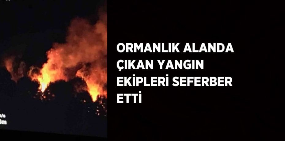 ORMANLIK ALANDA ÇIKAN YANGIN EKİPLERİ SEFERBER ETTİ