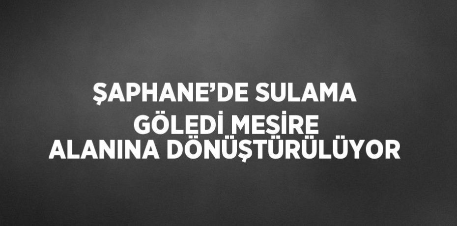 ŞAPHANE’DE SULAMA GÖLEDİ MESİRE ALANINA DÖNÜŞTÜRÜLÜYOR