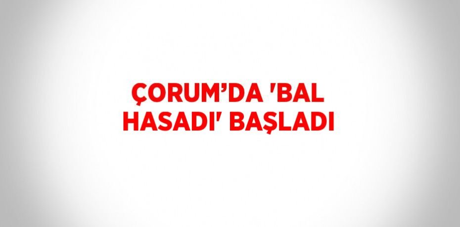 ÇORUM’DA 'BAL HASADI' BAŞLADI