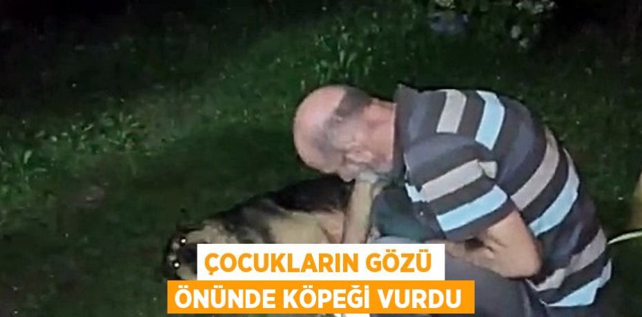 ÇOCUKLARIN GÖZÜ ÖNÜNDE KÖPEĞİ VURDU