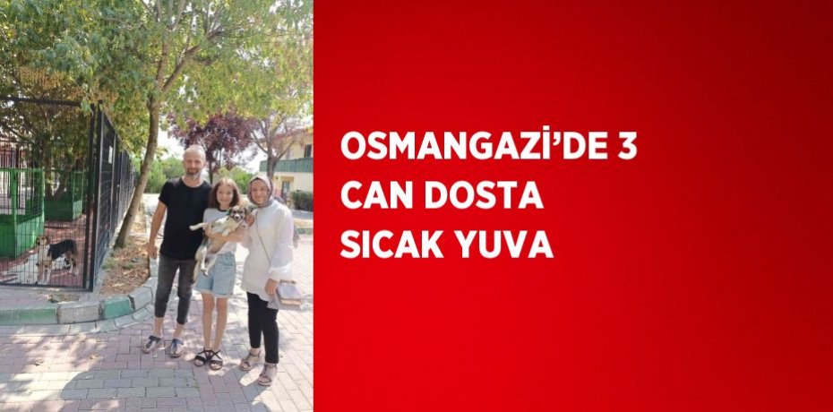 OSMANGAZİ’DE 3 CAN DOSTA SICAK YUVA