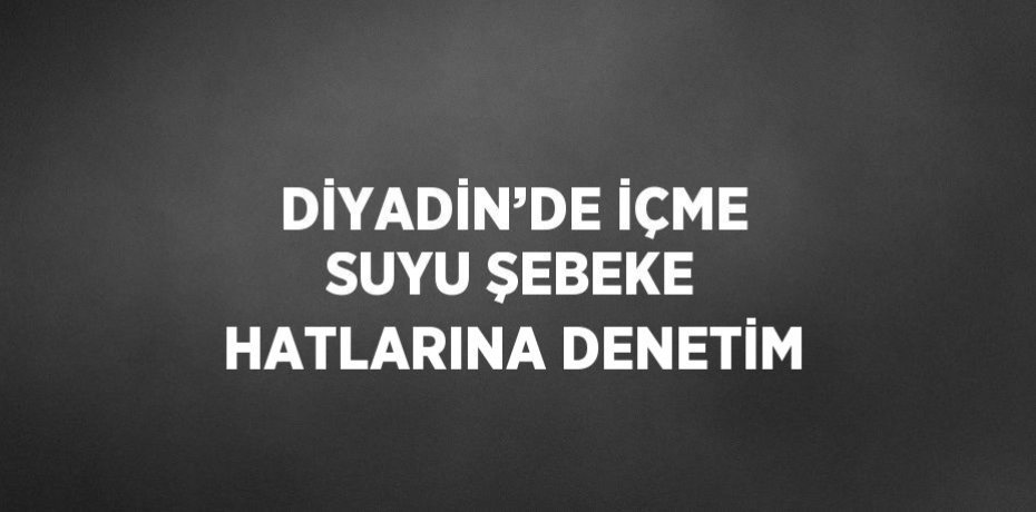 DİYADİN’DE İÇME SUYU ŞEBEKE HATLARINA DENETİM