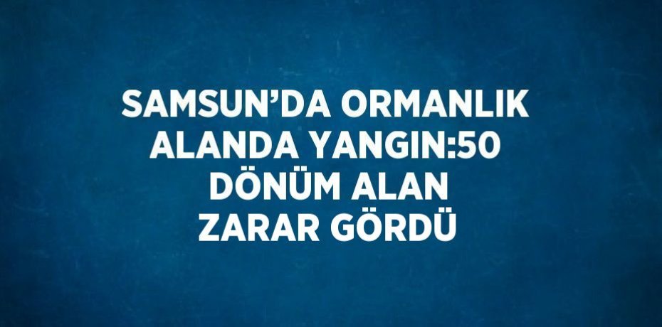 SAMSUN’DA ORMANLIK ALANDA YANGIN:50 DÖNÜM ALAN ZARAR GÖRDÜ