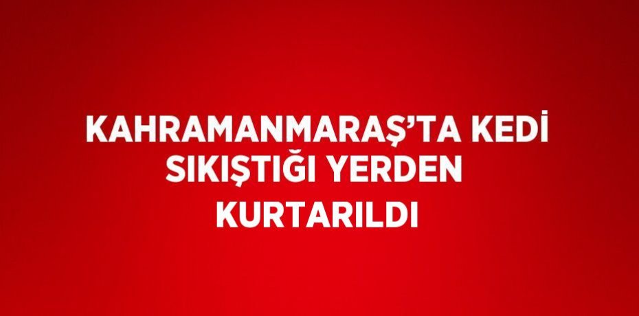 KAHRAMANMARAŞ’TA KEDİ SIKIŞTIĞI YERDEN KURTARILDI