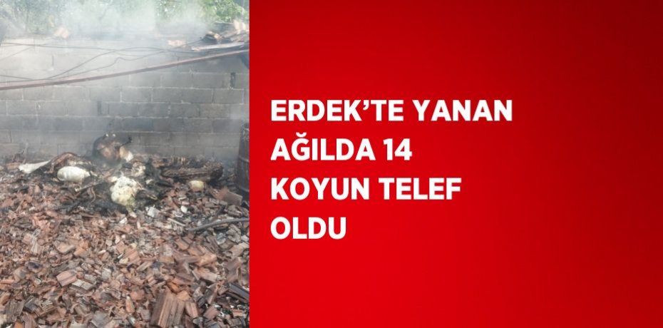 ERDEK’TE YANAN AĞILDA 14 KOYUN TELEF OLDU