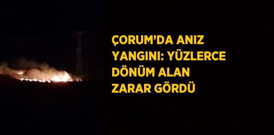 ÇORUM’DA ANIZ YANGINI: YÜZLERCE DÖNÜM ALAN ZARAR GÖRDÜ