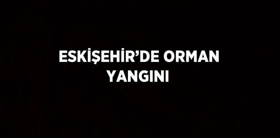 ESKİŞEHİR’DE ORMAN YANGINI
