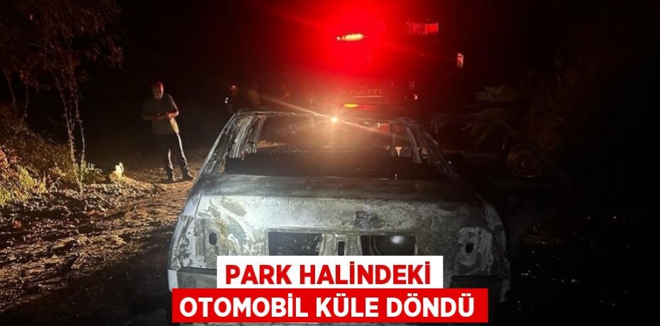 PARK HALİNDEKİ OTOMOBİL KÜLE DÖNDÜ