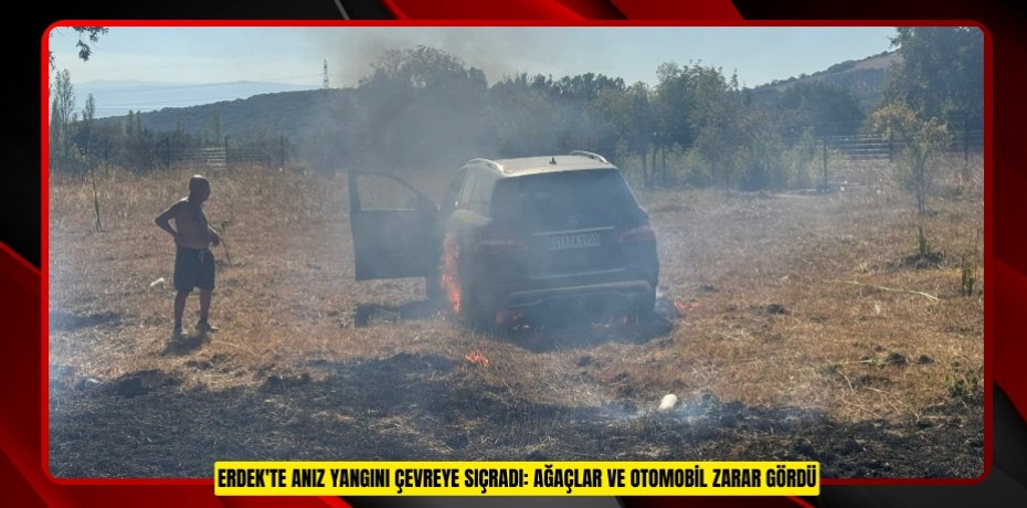 Erdek'te anız yangını çevreye sıçradı: Ağaçlar ve otomobil zarar gördü