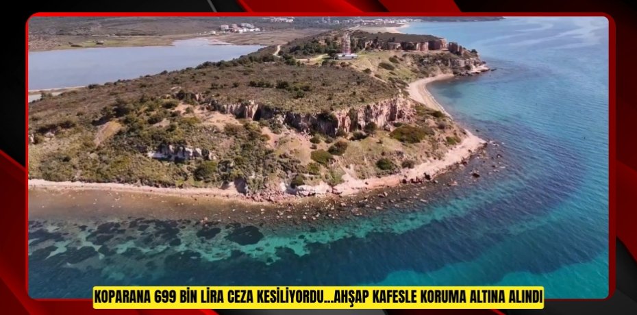  Koparana 699 bin lira ceza kesiliyordu...Ahşap kafesle koruma altına alındı