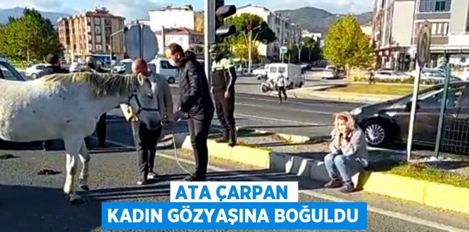 ATA ÇARPAN KADIN GÖZYAŞINA BOĞULDU