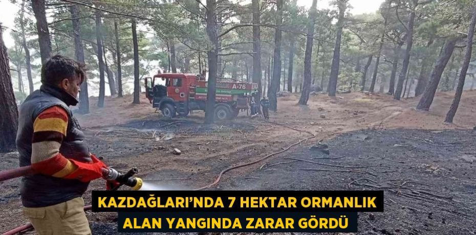 KAZDAĞLARI’NDA 7 HEKTAR ORMANLIK ALAN YANGINDA ZARAR GÖRDÜ
