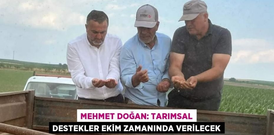 MEHMET DOĞAN: TARIMSAL DESTEKLER EKİM ZAMANINDA VERİLECEK