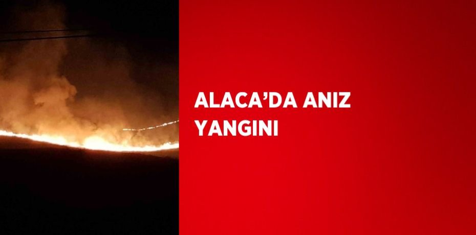 ALACA’DA ANIZ YANGINI