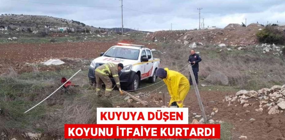 KUYUYA DÜŞEN KOYUNU İTFAİYE KURTARDI