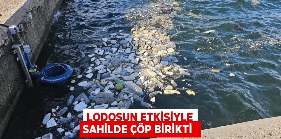 Lodosun etkisiyle sahilde çöp birikti 