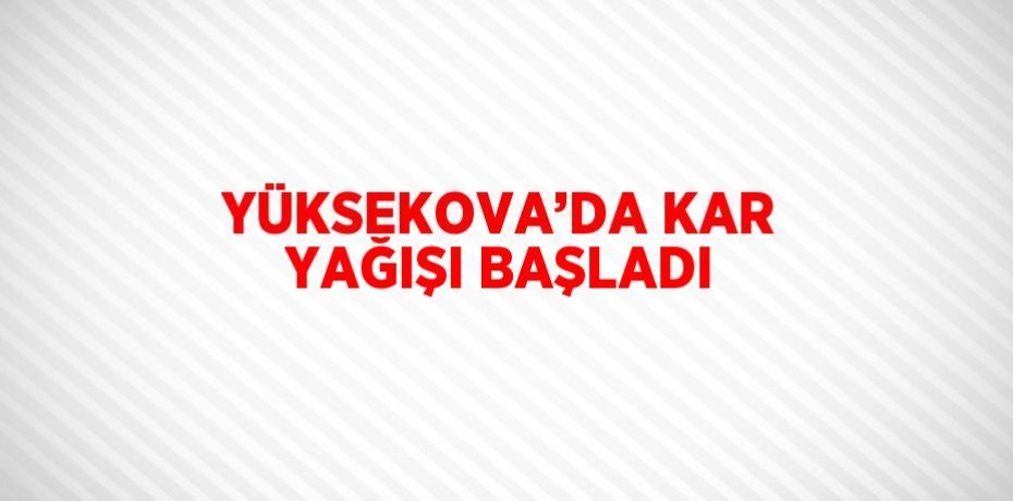 YÜKSEKOVA’DA KAR YAĞIŞI BAŞLADI