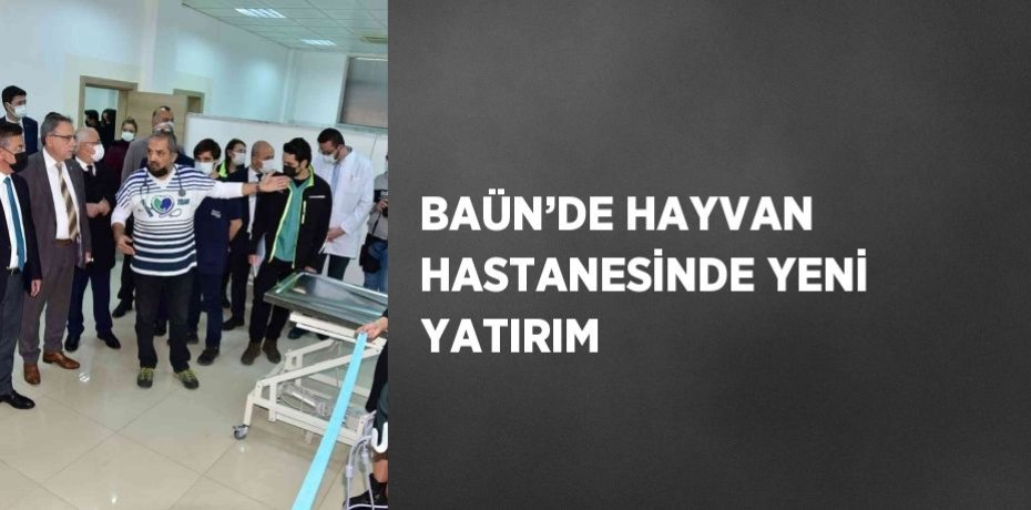 BAÜN’DE HAYVAN HASTANESİNDE YENİ YATIRIM