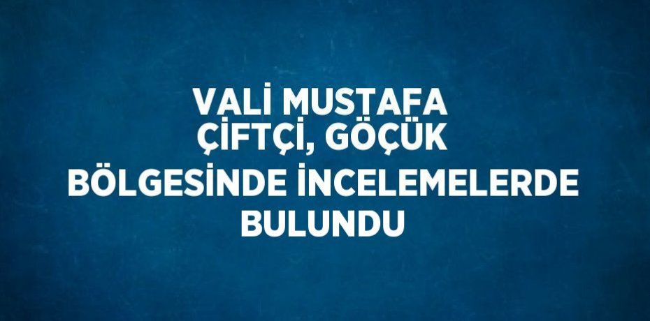 VALİ MUSTAFA ÇİFTÇİ, GÖÇÜK BÖLGESİNDE İNCELEMELERDE BULUNDU