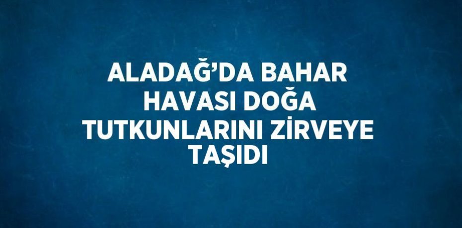 ALADAĞ’DA BAHAR HAVASI DOĞA TUTKUNLARINI ZİRVEYE TAŞIDI