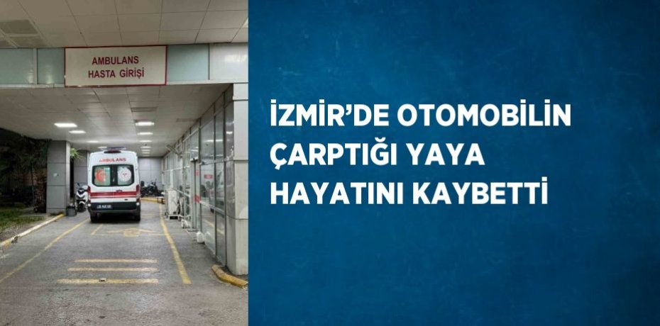 İZMİR’DE OTOMOBİLİN ÇARPTIĞI YAYA HAYATINI KAYBETTİ