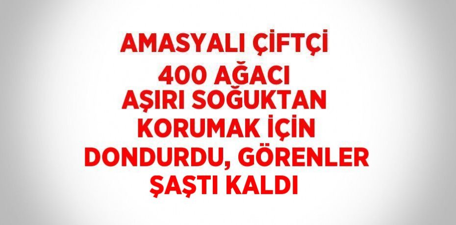 AMASYALI ÇİFTÇİ 400 AĞACI AŞIRI SOĞUKTAN KORUMAK İÇİN DONDURDU, GÖRENLER ŞAŞTI KALDI
