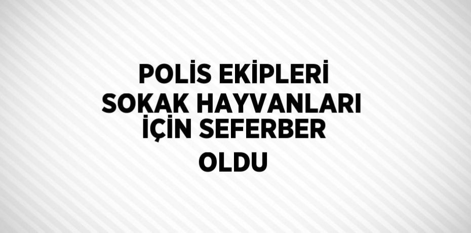 POLİS EKİPLERİ SOKAK HAYVANLARI İÇİN SEFERBER OLDU