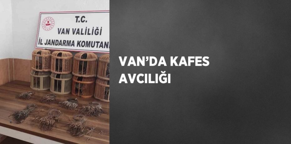 VAN’DA KAFES AVCILIĞI