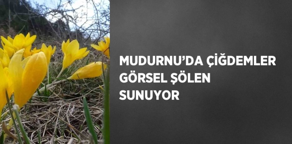 MUDURNU’DA ÇİĞDEMLER GÖRSEL ŞÖLEN SUNUYOR