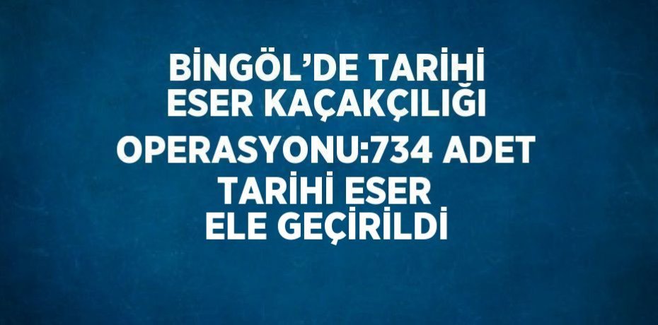 BİNGÖL’DE TARİHİ ESER KAÇAKÇILIĞI OPERASYONU:734 ADET TARİHİ ESER ELE GEÇİRİLDİ