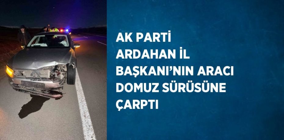 AK PARTİ ARDAHAN İL BAŞKANI’NIN ARACI DOMUZ SÜRÜSÜNE ÇARPTI