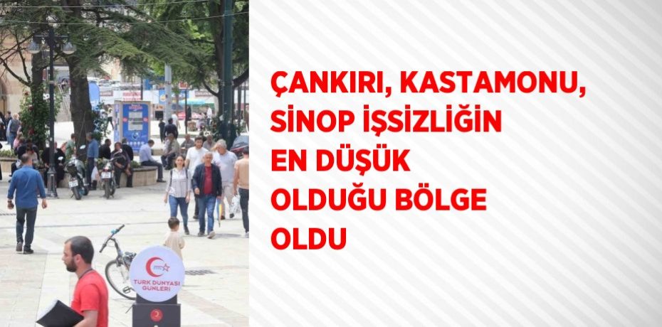 ÇANKIRI, KASTAMONU, SİNOP İŞSİZLİĞİN EN DÜŞÜK OLDUĞU BÖLGE OLDU