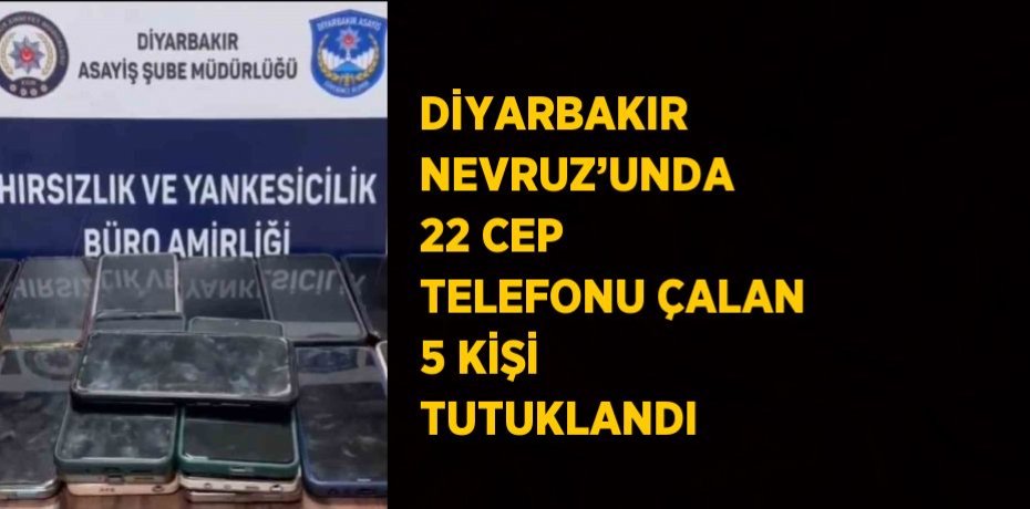 DİYARBAKIR NEVRUZ’UNDA 22 CEP TELEFONU ÇALAN 5 KİŞİ TUTUKLANDI