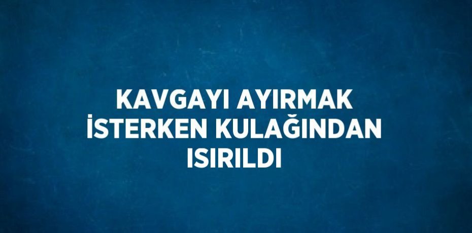 KAVGAYI AYIRMAK İSTERKEN KULAĞINDAN ISIRILDI