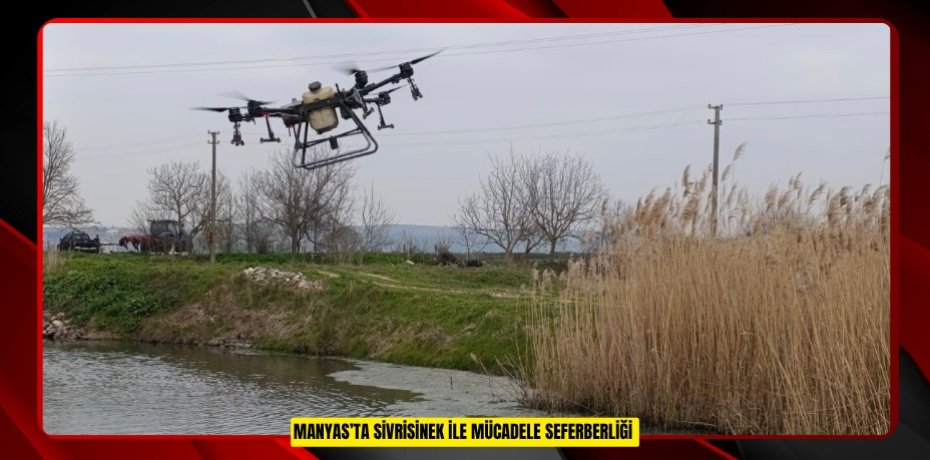 Manyas’ta sivrisinek ile mücadele seferberliği
