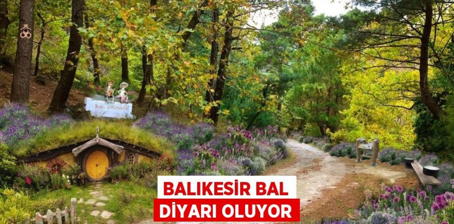 BALIKESİR BAL DİYARI OLUYOR