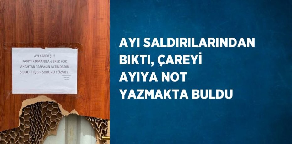 AYI SALDIRILARINDAN BIKTI, ÇAREYİ AYIYA NOT YAZMAKTA BULDU