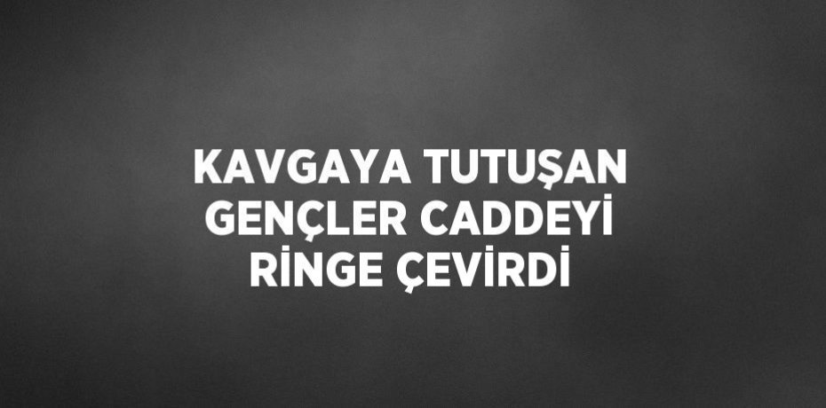 KAVGAYA TUTUŞAN GENÇLER CADDEYİ RİNGE ÇEVİRDİ