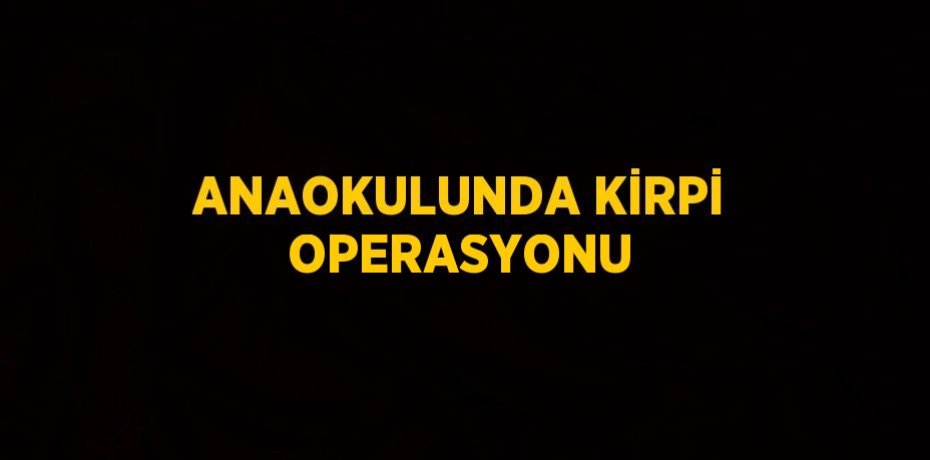 ANAOKULUNDA KİRPİ OPERASYONU