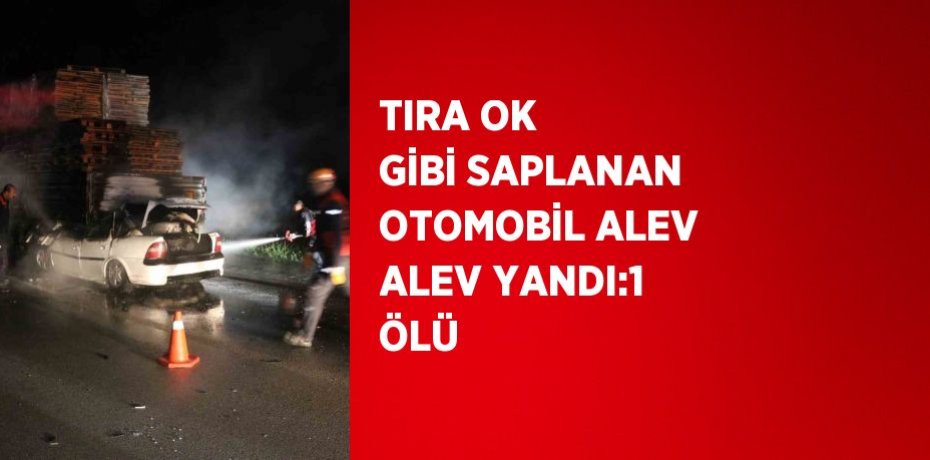 TIRA OK GİBİ SAPLANAN OTOMOBİL ALEV ALEV YANDI:1 ÖLÜ