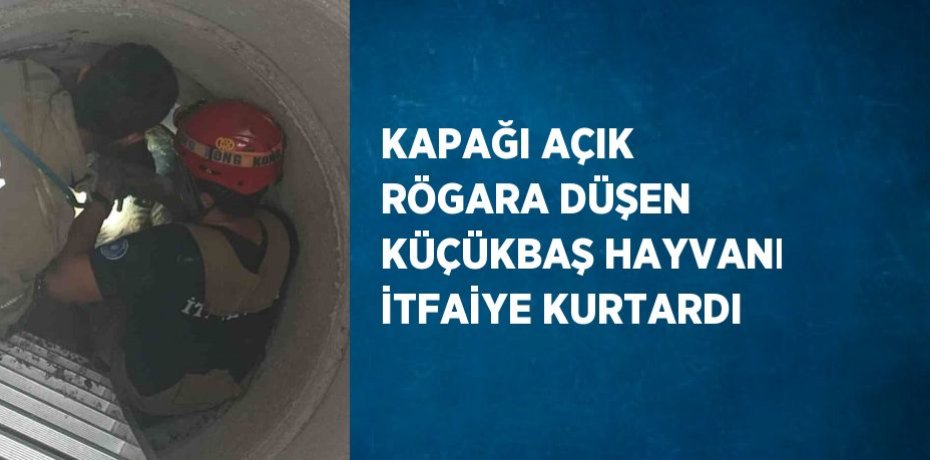 KAPAĞI AÇIK RÖGARA DÜŞEN KÜÇÜKBAŞ HAYVANI İTFAİYE KURTARDI