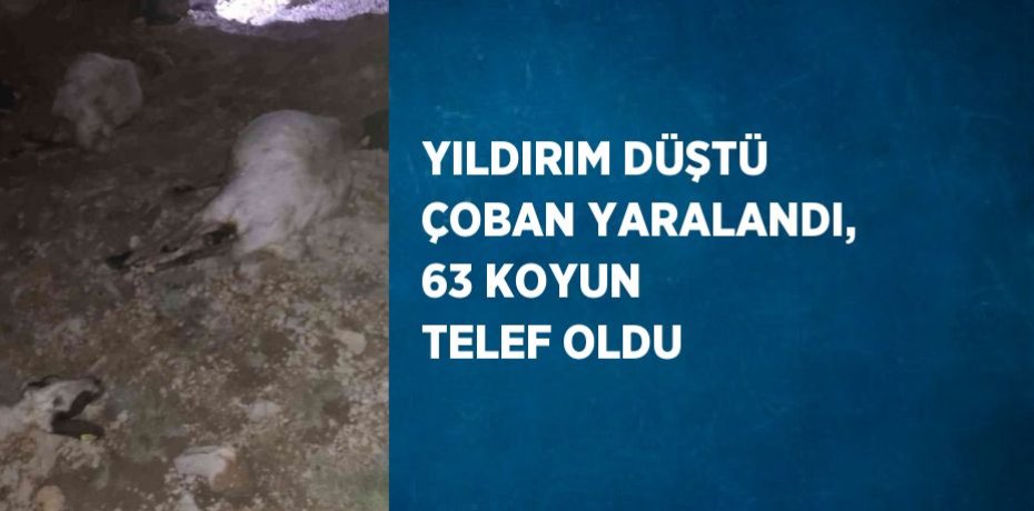 YILDIRIM DÜŞTÜ ÇOBAN YARALANDI, 63 KOYUN TELEF OLDU