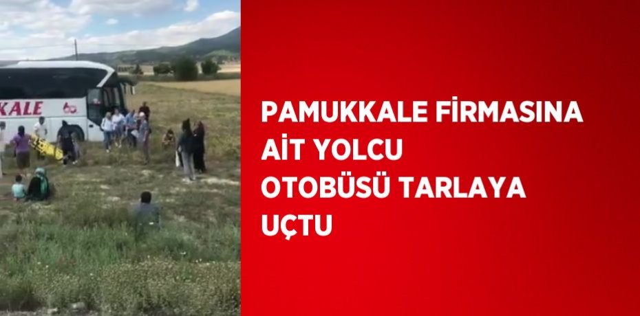 PAMUKKALE FİRMASINA AİT YOLCU OTOBÜSÜ TARLAYA UÇTU