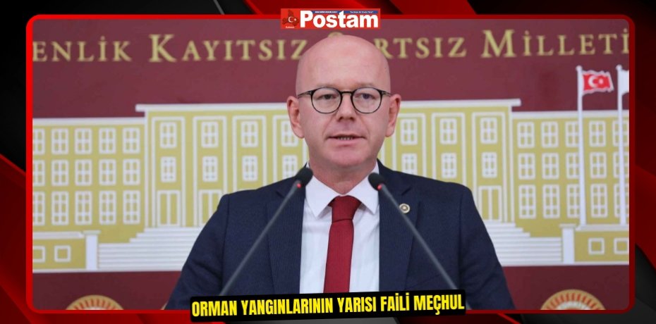 ORMAN YANGINLARININ YARISI FAİLİ MEÇHUL