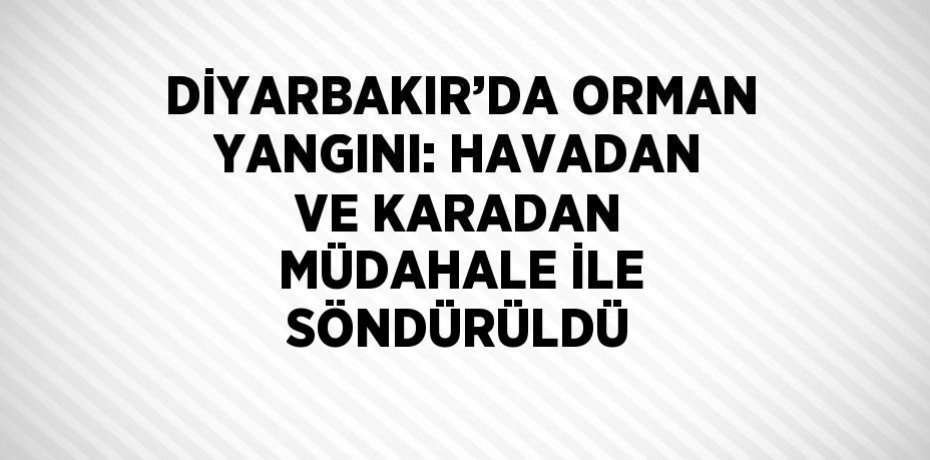 DİYARBAKIR’DA ORMAN YANGINI: HAVADAN VE KARADAN MÜDAHALE İLE SÖNDÜRÜLDÜ