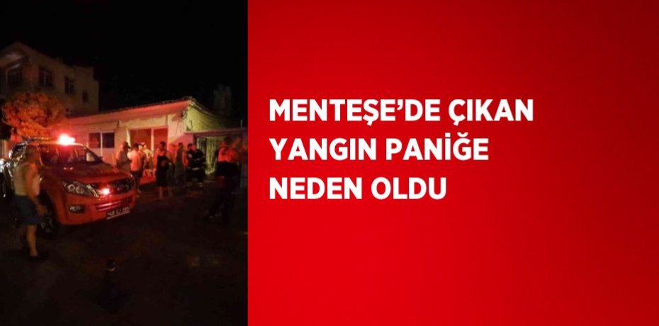 MENTEŞE’DE ÇIKAN YANGIN PANİĞE NEDEN OLDU