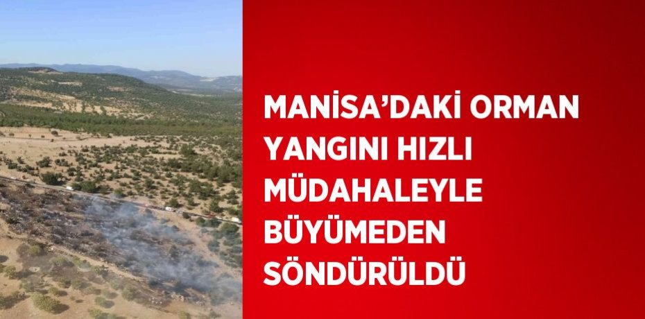 MANİSA’DAKİ ORMAN YANGINI HIZLI MÜDAHALEYLE BÜYÜMEDEN SÖNDÜRÜLDÜ